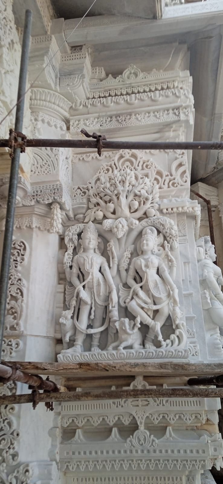 WhatsApp Image 2026-01-21 at 8.44.46 PM (1)