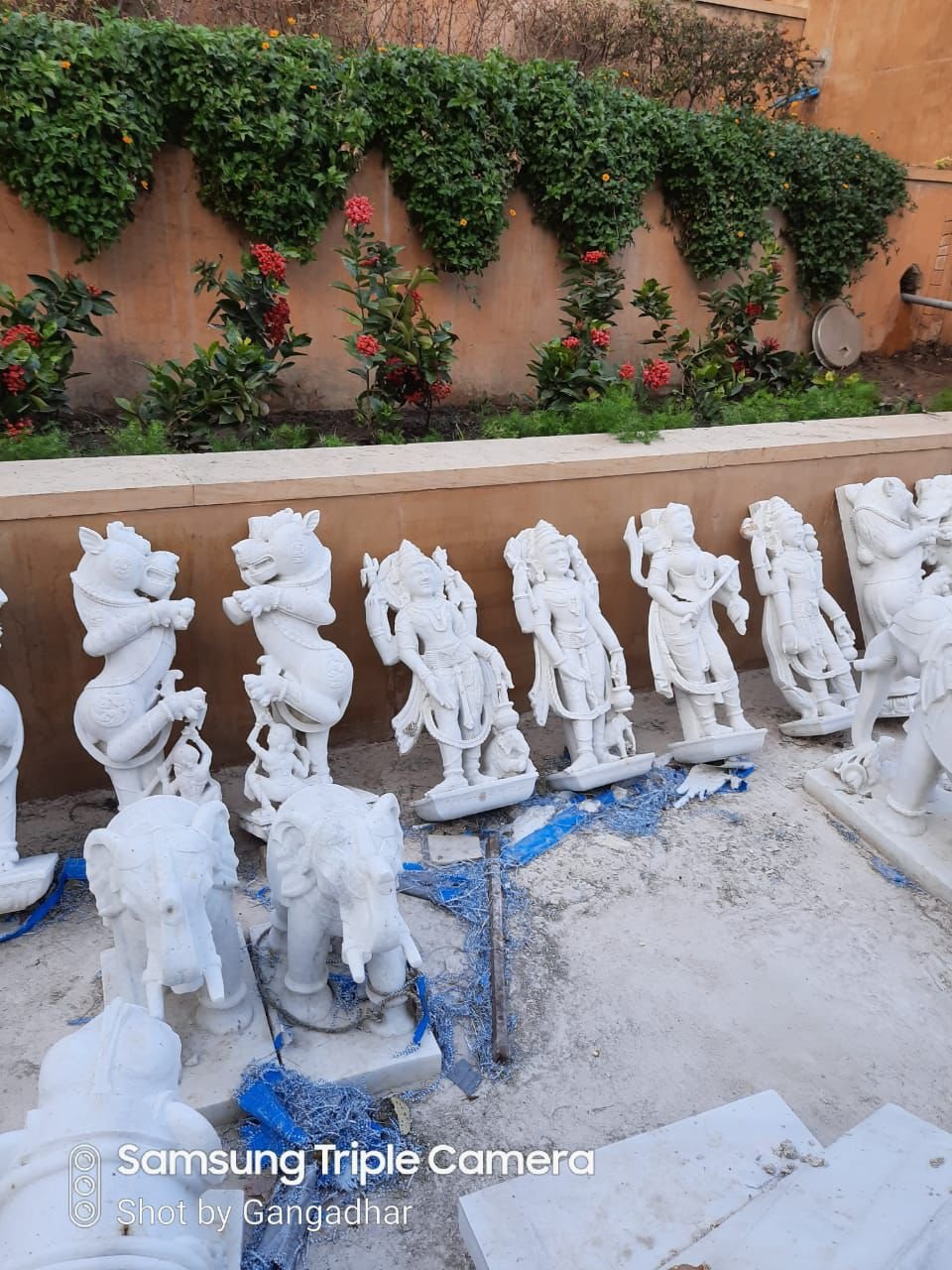 WhatsApp Image 2026-01-21 at 9.06.56 PM